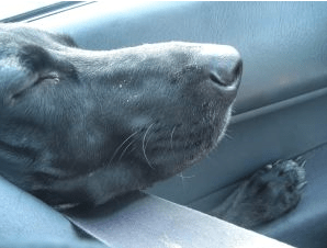 Screen shot 2013-10-17 at 1.02.53 AM