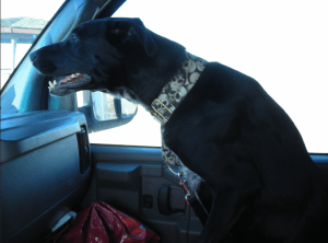 Screen shot 2013-10-17 at 12.40.49 AM