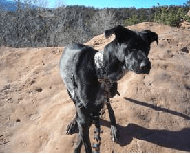 Screen shot 2013-10-17 at 12.55.00 AM