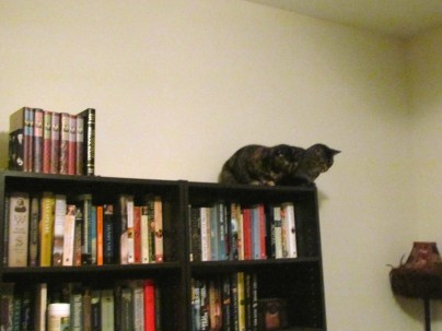 IMG_2505 - Version 2