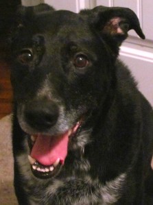 IMG_5820 - Version 2