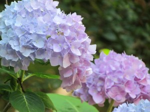 img_7386