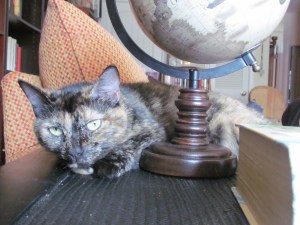img_8592