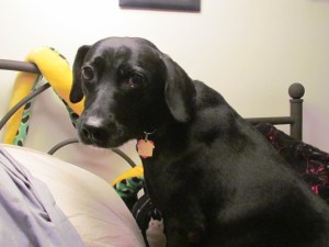 img_9056
