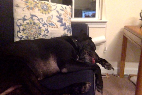 Photo on 3-6-18 at 8.04 PM